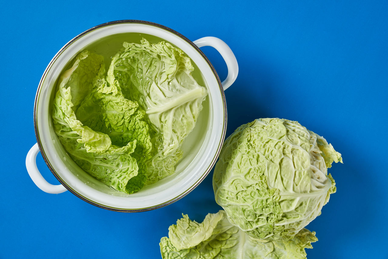 Frische Kohlblätter werden in einem Topf mit Wasser auf blauem Untergrund blanchiert.